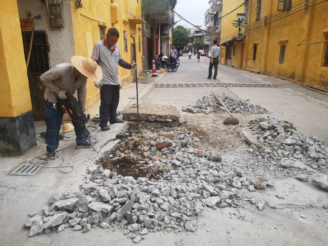 水稻、农业、农民、农业、种植、食品、稻田、田地、亚洲、帽子、人、工人、劳动、工作、工作、绿色、潮湿、作物、收获、城市 图片