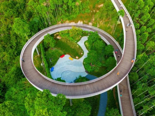珠海红花山森林公园。图源:南方+ 珠海红花山森林公园。图源:南方+