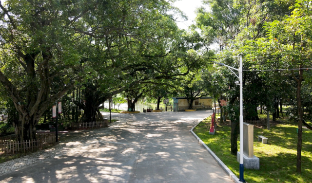 马冈镇北湖村。受访者供图 图片