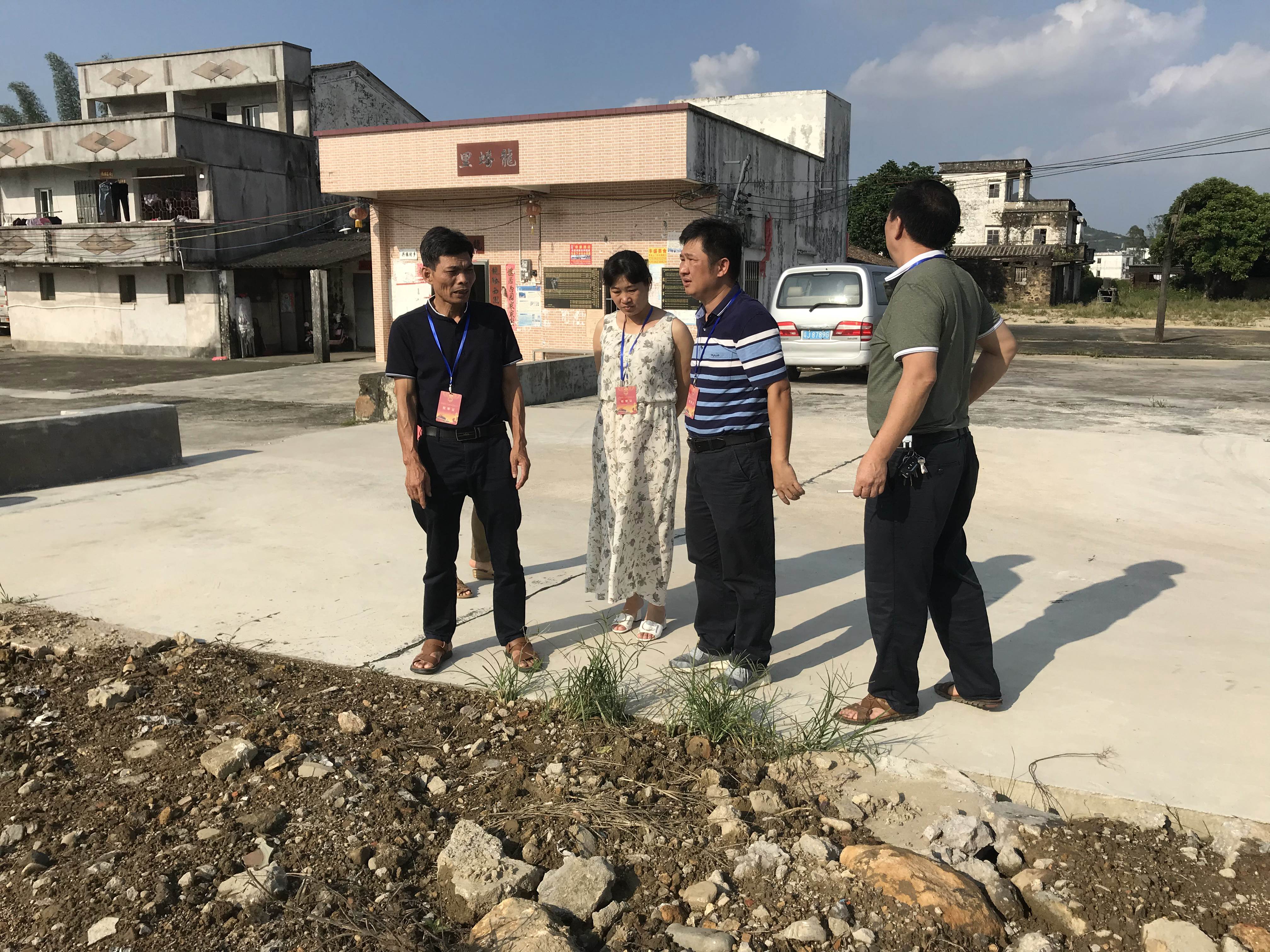 代表到高镇下西村了解路灯亮化工程.JPG
