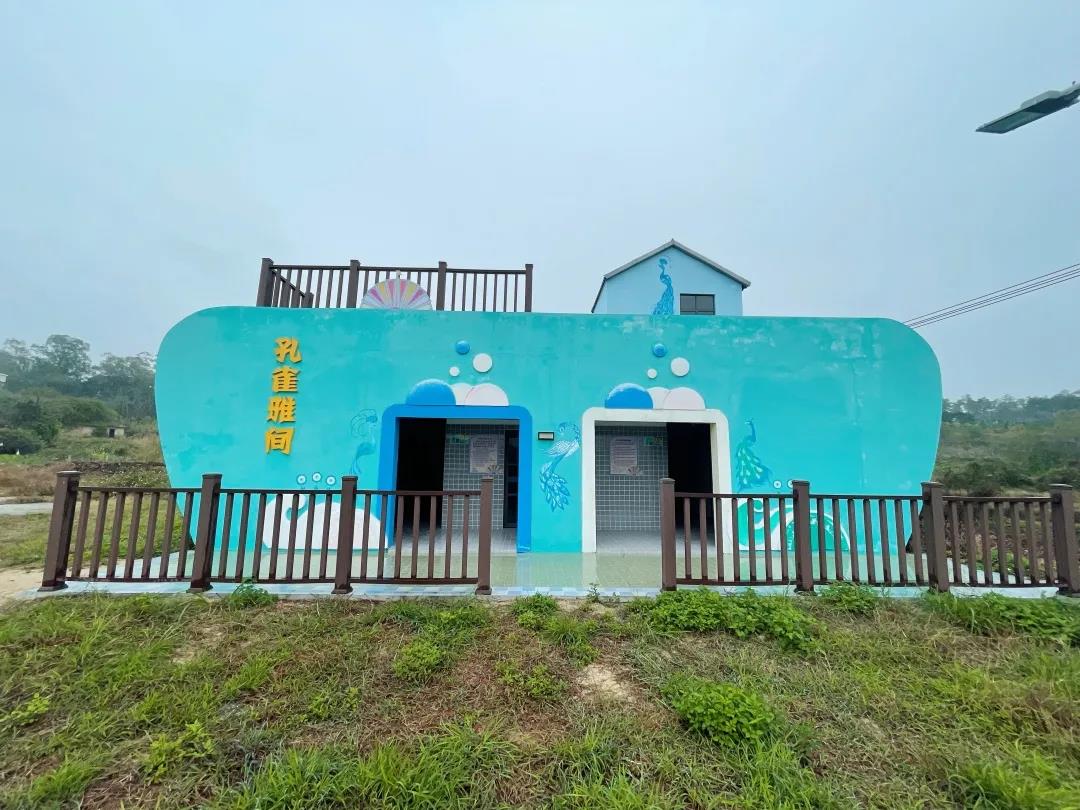 6视察新农村建设情况.jpg