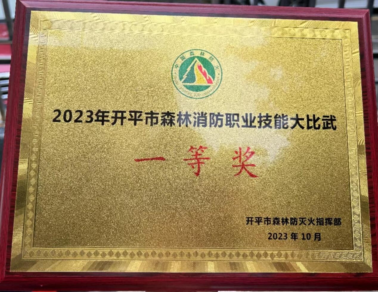 11月 百合镇：退役军人在森林职业技能大比武竞赛获佳绩_4