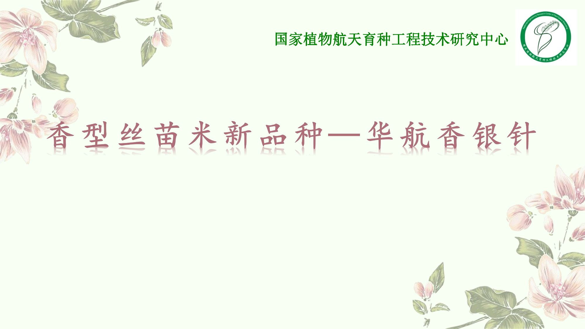 优质丰产抗病香型丝苗米品种-华航香银针-华航31号等品种简介-1.jpg
