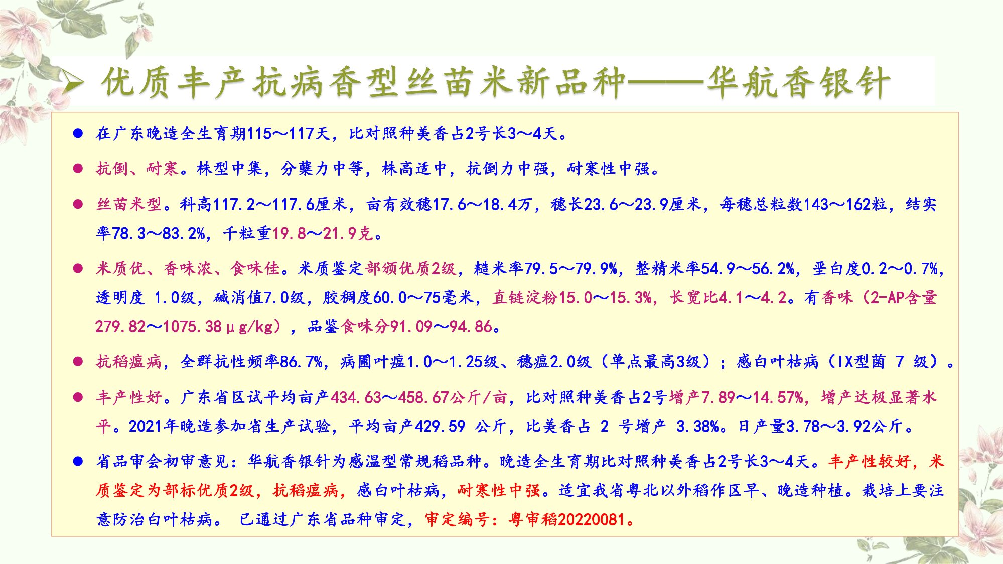 优质丰产抗病香型丝苗米品种-华航香银针-华航31号等品种简介-2.jpg