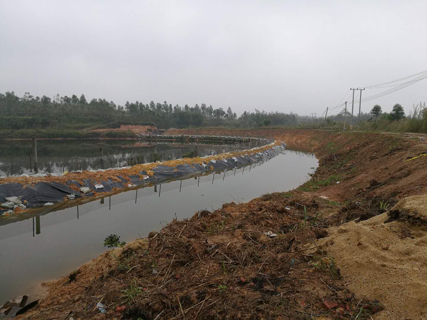 3月14日大沙河水流至百合镇内1.jpg 3月14日大沙河水流至百合镇内1.jpg