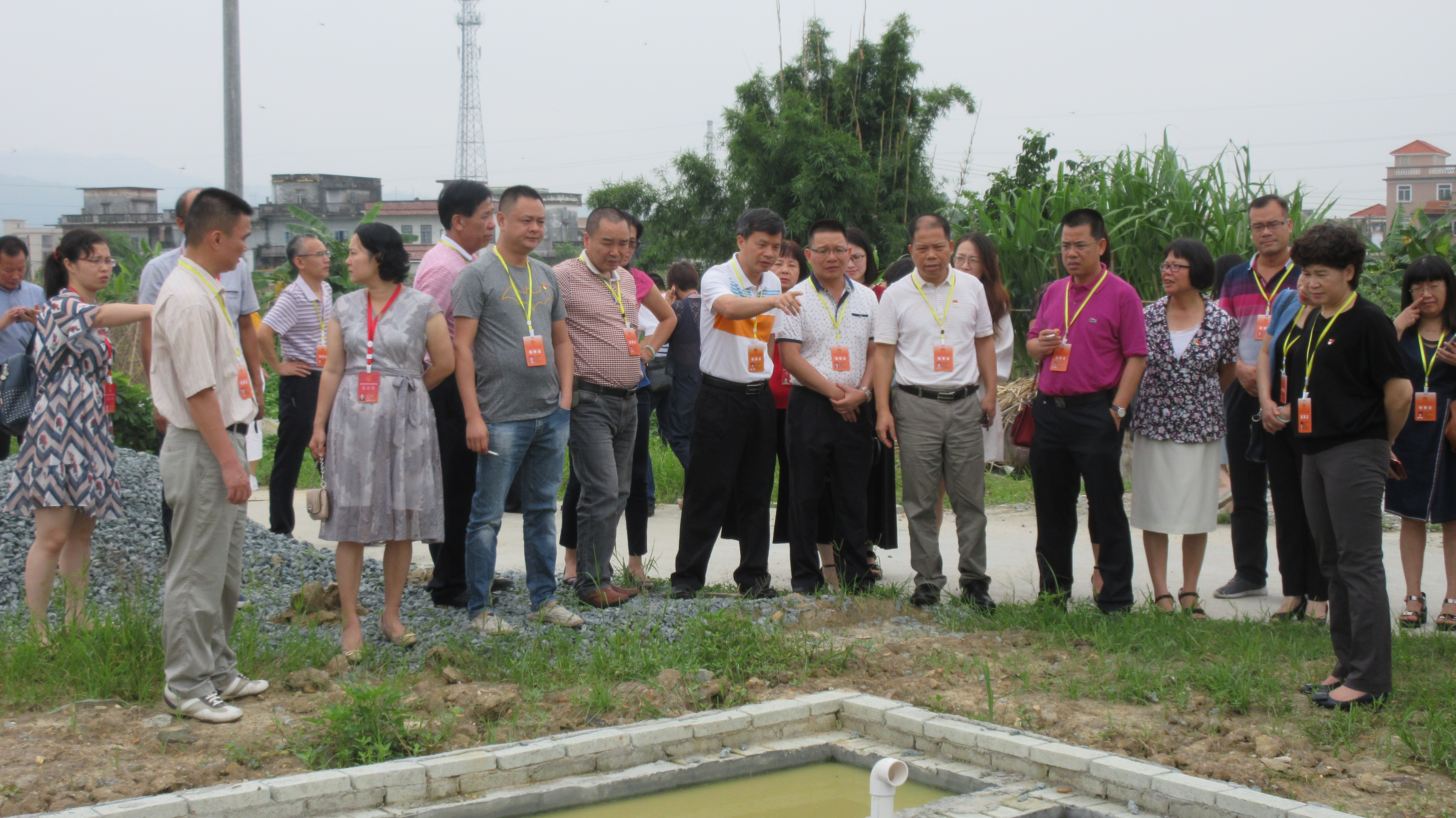 人大代表视察爱民大挞村“三清理三拆除三整治”工作情况.JPG
