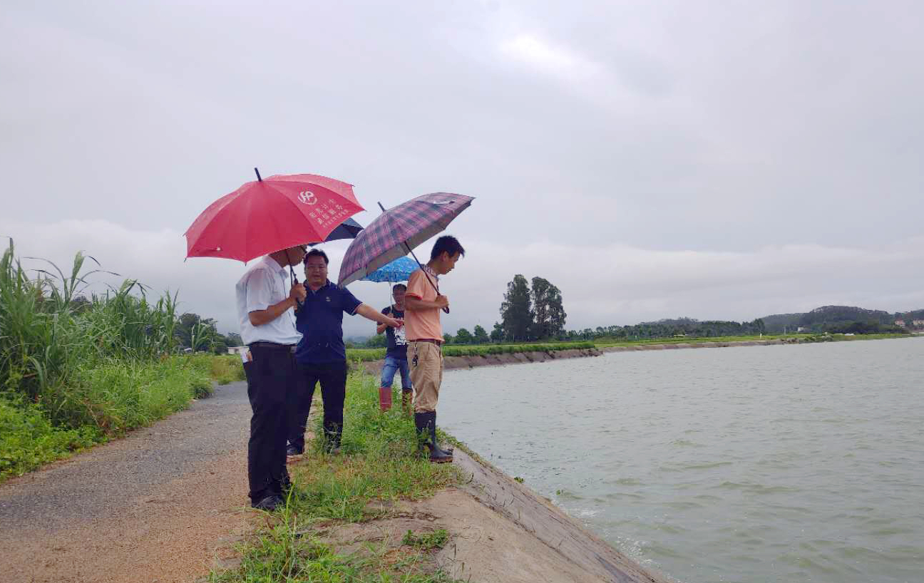 微信图片_20190625113942_副本.jpg 微信图片_20190625113942_副本.jpg