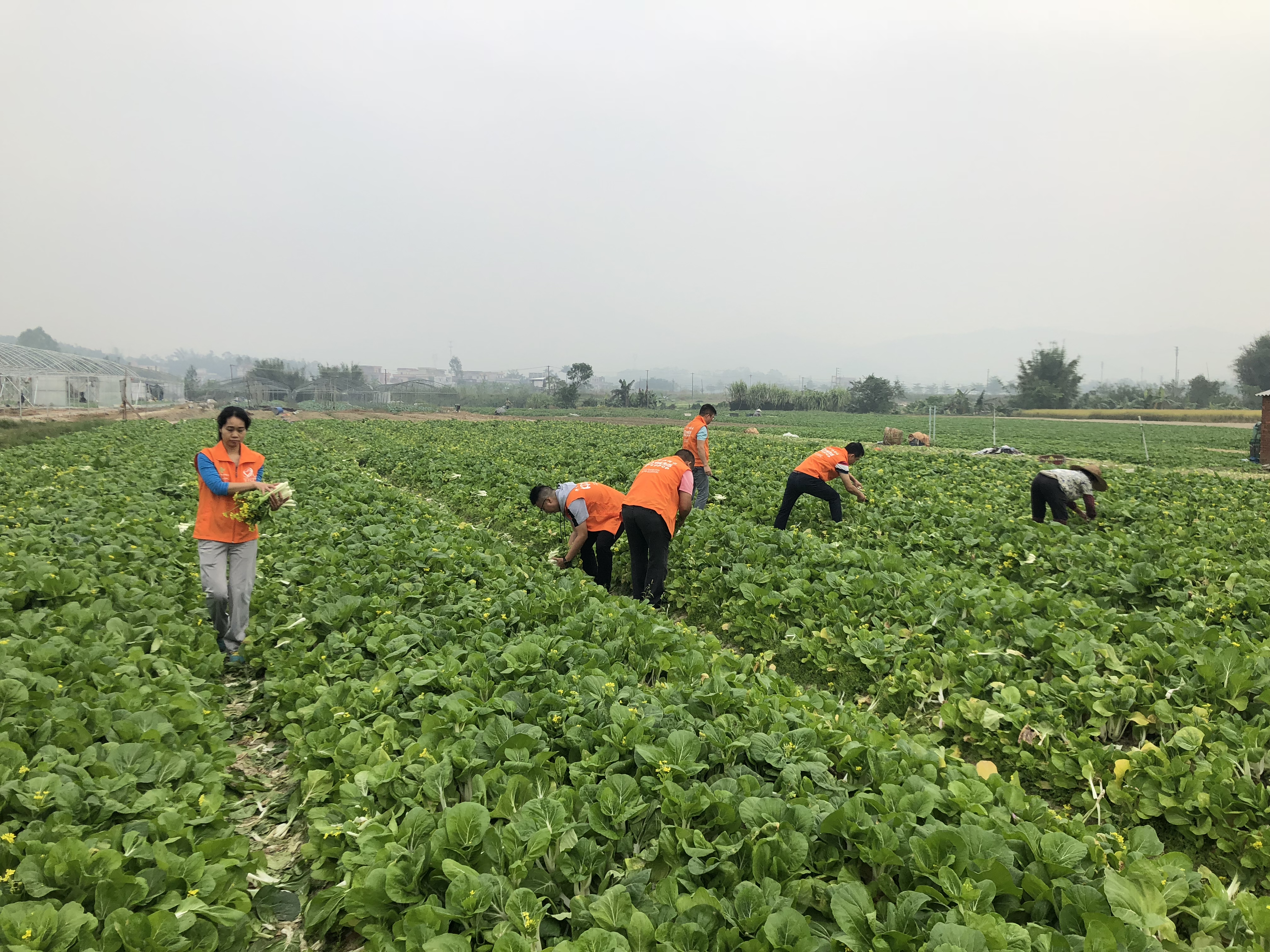 微信图片_201811090959294.jpg 微信图片_201811090959294.jpg