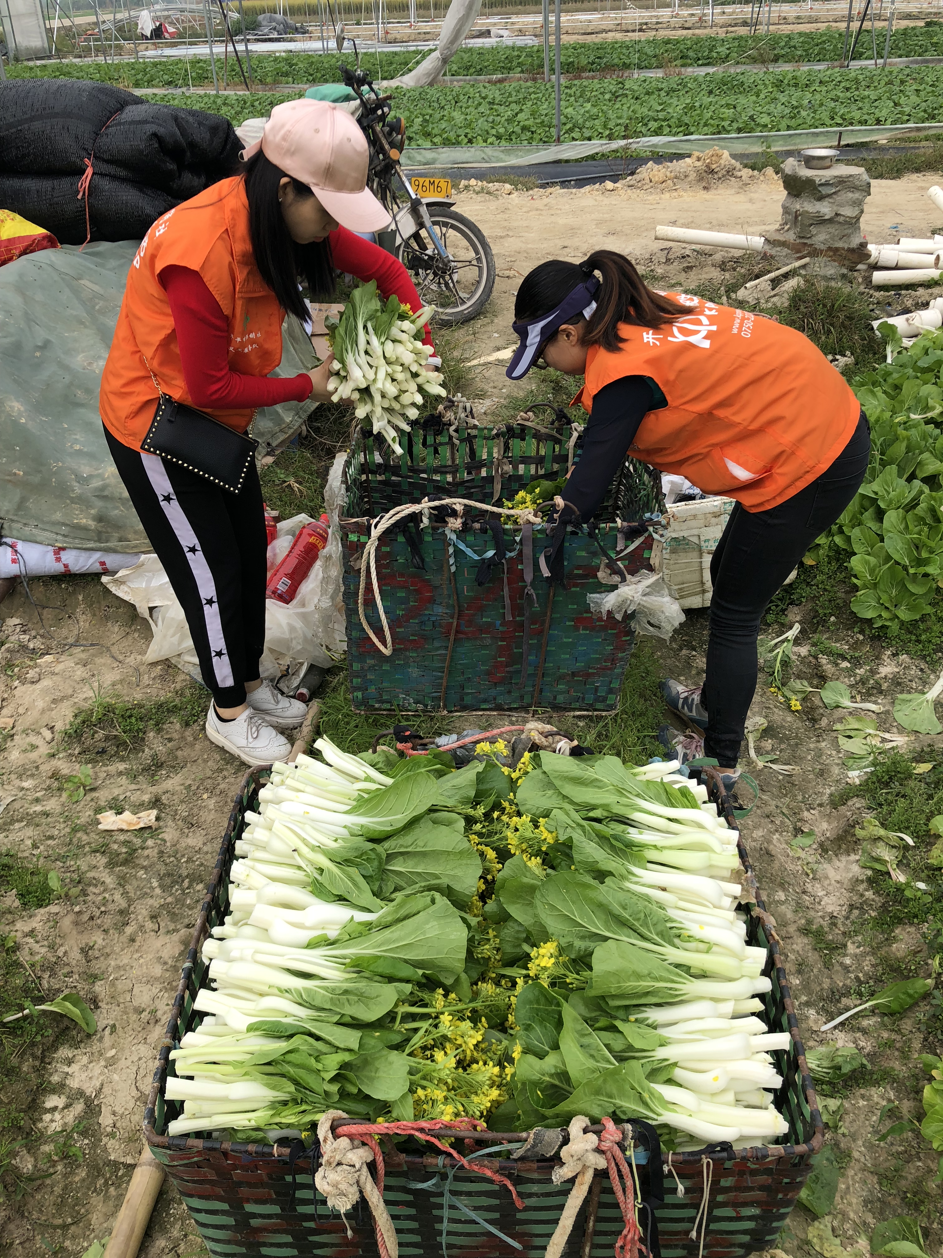 微信图片_201811090959293.jpg 微信图片_201811090959293.jpg